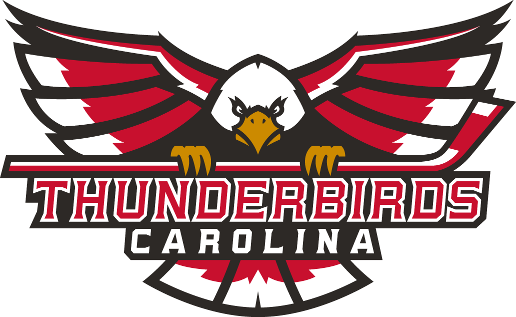 Carolina Thunderbirds 2017-Pres Primary Logo iron on heat transfer...